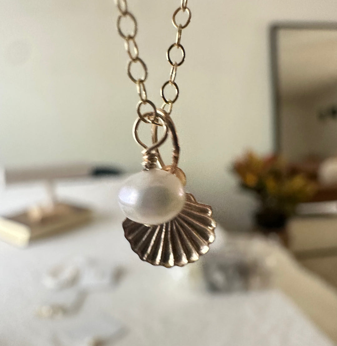 Seashell Necklace